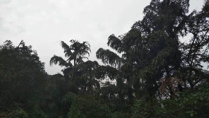说明: C:\Users\asus\AppData\Local\Temp\WeChat Files\622156621207846784.jpg 说明: C:\Users\asus\AppData\Local\Temp\WeChat Files\622156621207846784.jpg