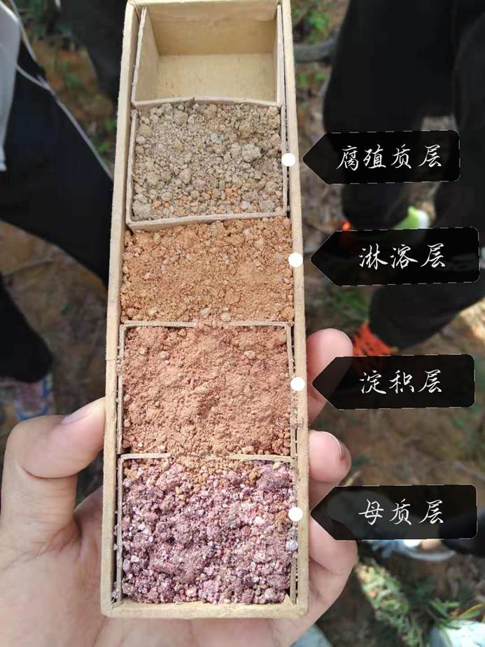 说明: C:\Users\asus\AppData\Local\Temp\WeChat Files\437525847191221807.jpg 说明: C:\Users\asus\AppData\Local\Temp\WeChat Files\437525847191221807.jpg