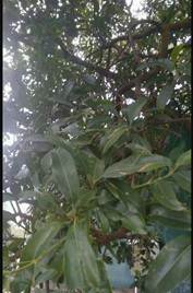 说明: C:\Users\asus\AppData\Local\Temp\WeChat Files\46112549865813350.jpg