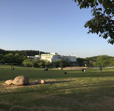起霞坡